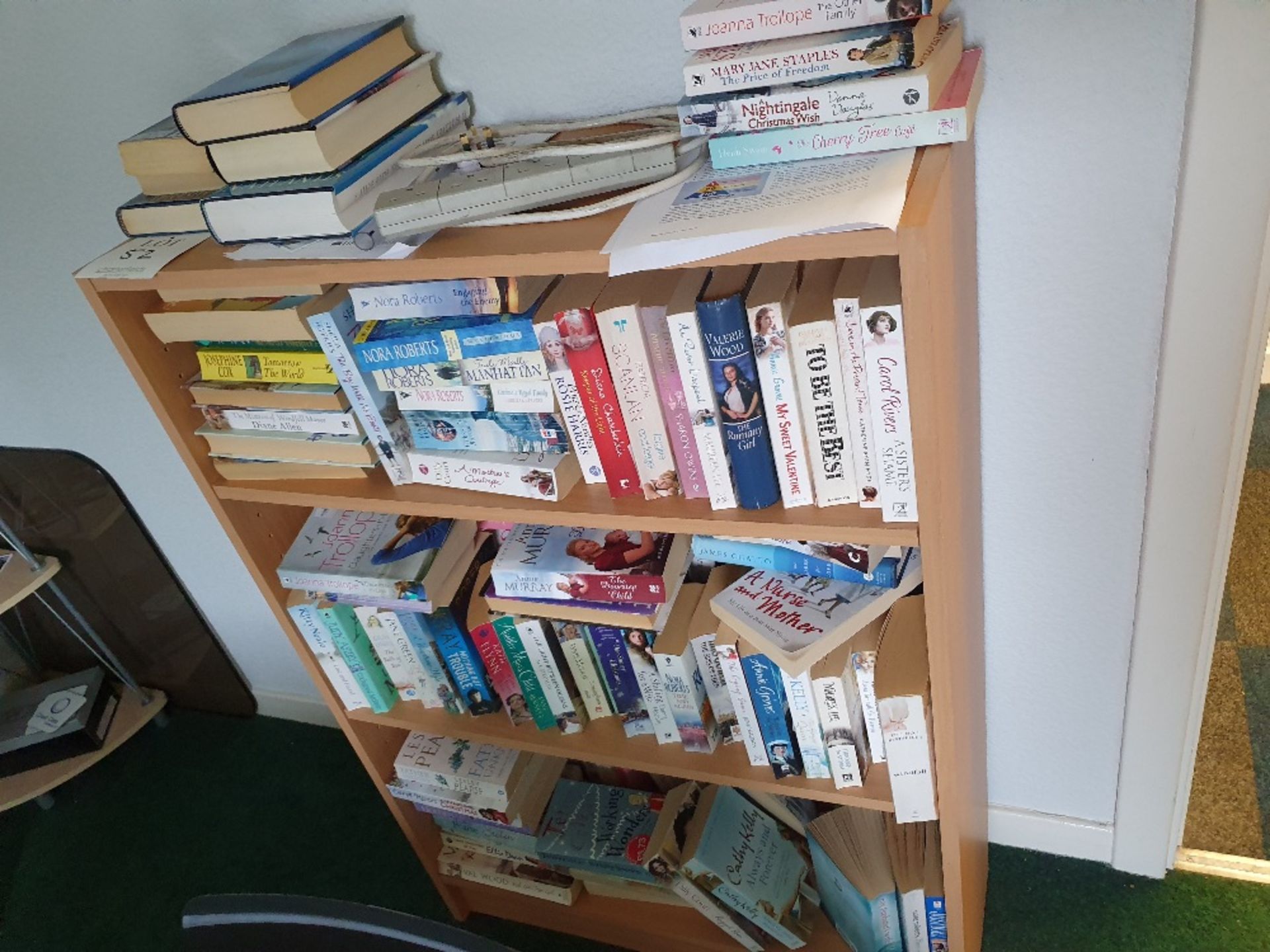 Wooden bookshelf and large quantity of books