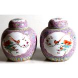 A pair of Chinese famille rose ginger jars and covers decorated with birds and flowers within panels
