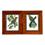 A pair of maple picture frames, overall 19 by 22cms (7.5 by 8.5ins).