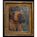 20th century school - Study of a Boxer Dog - indistinctly signed lower right, oil on board,