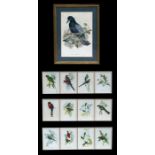 A set of twelve prints of exotic birds by J Gould & H C Richter, each 30 by 40cms (11.75 by 15.