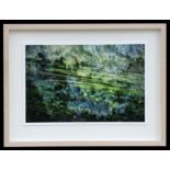 Christine Adams (modern British) - Forest Dream - limited edition photograph, no. 1/30, signed in