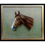 T Campbell-Fraser - Portrait of a Horse - 'Ben', signed & dated 1989 lower right, oil on canvas,