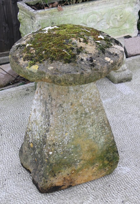 A staddle stone with mushroom top, 77ms (30.25ins) high.