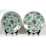 A pair of late 19th century Chinese plates decorated with birds, flower and insects in enamel