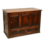 An 18th century oak mule chest, the panelled front above two drawers, 110cms (43.25ins) wide.