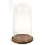 Taxidermy. A large glass dome on a turned oak base, suitable for taxidermy display, 60cms (23.