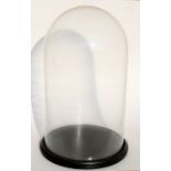 Taxidermy. A large glass dome and stand, suitable for taxidermy display, 62cms (24.5ins) high, 35cms