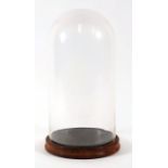 Taxidermy. A large glass dome on wooden stand, suitable for taxidermy display, 47cms (18.5ins) high,
