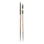 Two tribal spears with steel blades & tips, 155cms (61in) long (2).