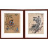 A Japanese watercolour painting depicting a hawk perched on a rock, framed and glazed; together with