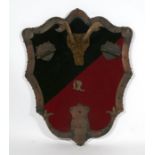 Taxidermy. A pair of horns mounted on a shield shaped plaque with leather trim and slots to hold