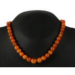 A graduated amber bead necklace, the largest bead 10mm diameter, overall weight 20.6g.
