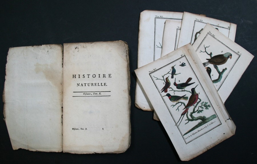BUFFON (Comte de) - Histoire Naturelle, Generale et Particuliere - 6 vols (waf), William John - Image 19 of 36