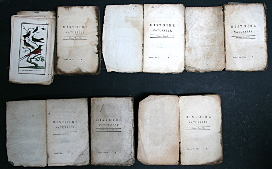 BUFFON (Comte de) - Histoire Naturelle, Generale et Particuliere - 6 vols (waf), William John - Image 33 of 36