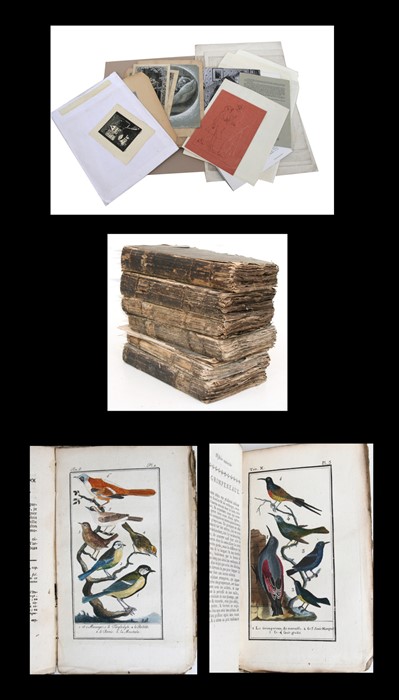 BUFFON (Comte de) - Histoire Naturelle, Generale et Particuliere - 6 vols (waf), William John