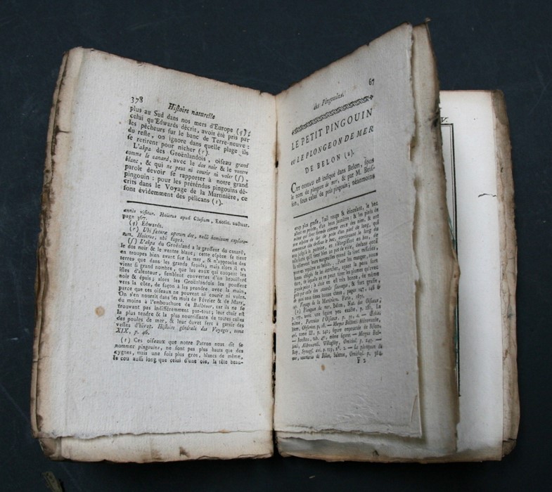 BUFFON (Comte de) - Histoire Naturelle, Generale et Particuliere - 6 vols (waf), William John - Image 25 of 36