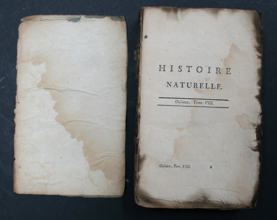 BUFFON (Comte de) - Histoire Naturelle, Generale et Particuliere - 6 vols (waf), William John - Image 21 of 36