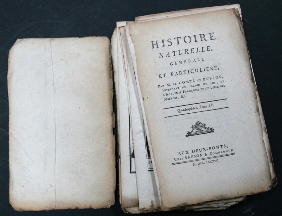 BUFFON (Comte de) - Histoire Naturelle, Generale et Particuliere - 6 vols (waf), William John - Image 29 of 36