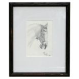 Study of a horses head, indistinctly signed, pencil sketch, framed & glazed, 9 by 13cms (3.5 by