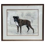 Ronald Swanwick - Simba - portrait of a boxer dog, signed & dated 1991 lower right, pen &