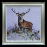 John Taylor - Majestic Study - a ten-point stag, oil on board, signed lower right, 79 by 79cms (31