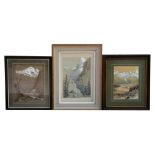 Continental school - a set of three Swiss landscape scenes, watercolour, framed, the largest 18 by