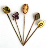 Five stick pins, to include a cameo & horseshoe.