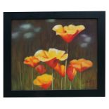 20th century school - Poppies - indistinctly signed lower right, oil on canvas, framed 60 by