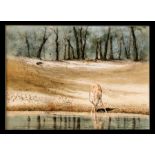Kim Donaldson - Antelope in a Watering Hole - signed lower right, pastel, unframed, 74 by 54cms (
