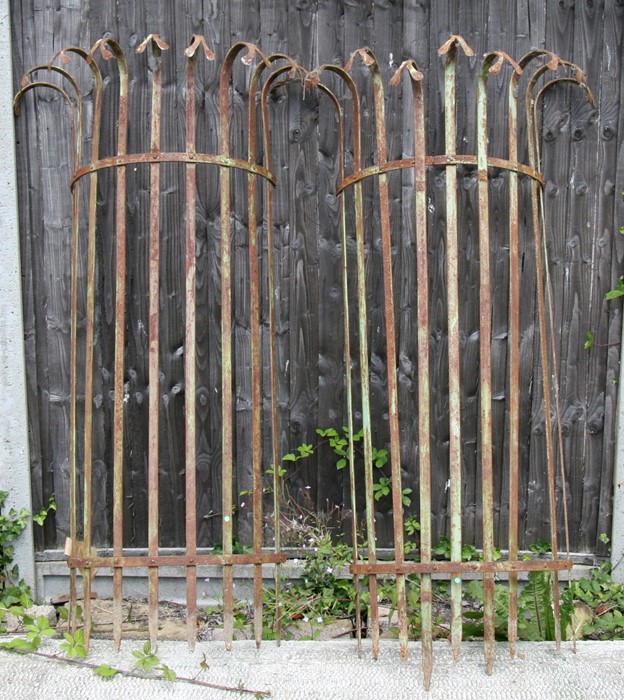 A late 19th century wrought iron tree guard.