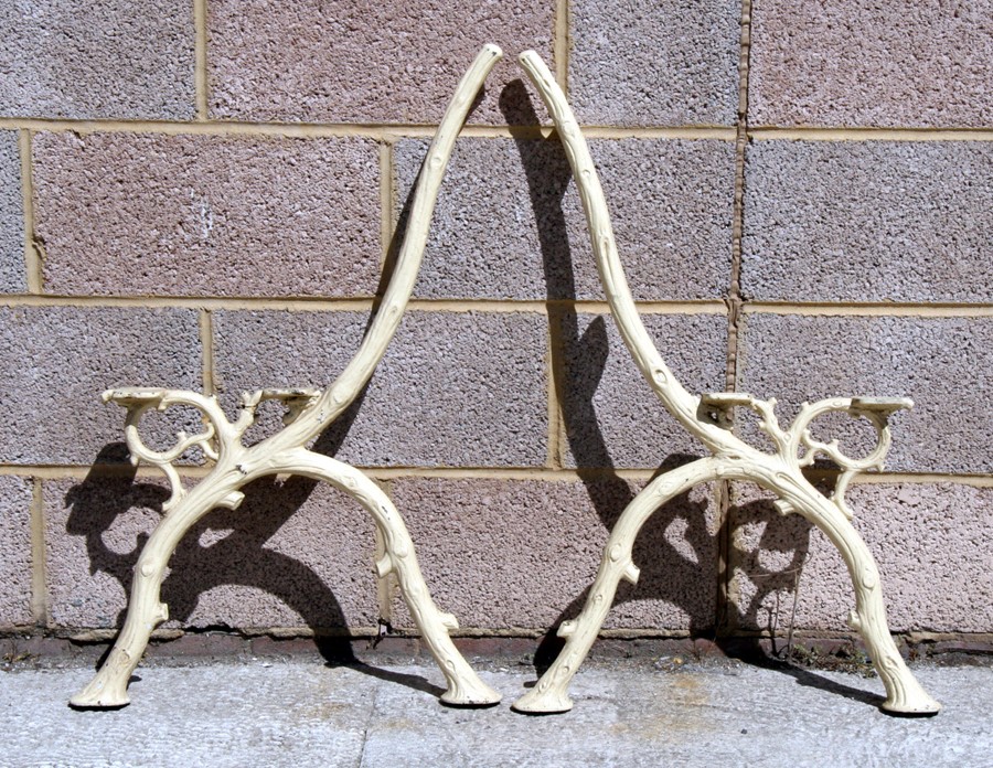 A pair of Victorian cast iron bench ends of naturalistic form.