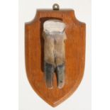 A Victorian white metal mounted (tests as silver) deer slot mounted on an oak shield shaped