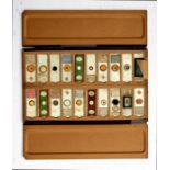 A group of Victorian microscope slides to include insects and plants.