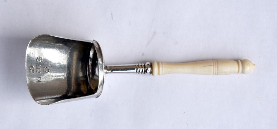 A George IV silver & ivory handled caddy spoon, 9cms (3.5ins) long.