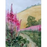 Nancy Kimmins (Modern British) - Woodland Scene - signed lower right, pastel, framed & glazed, 37 by