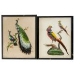 A pair of feather pictures, one depicting a pair of peacocks, the other a pair of golden