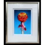 Sarah Graham - Still Life of a Lolly Pop - limited edition print, signed and numbered 67/15 in