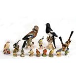 A group of porcelain birds to include Royal Worcester, Goebel and Crown Staffordshire, the largest