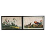 A pair of Chinese paintings on pith paper, one depicting a pair of cranes, the other a pair of