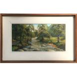 20th century school - Woodland River Scene - initialled 'CNN' lower right, oil on board, framed,