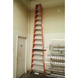 Louisville 14 ft. step-ladder. **Rigging Fee: $10**