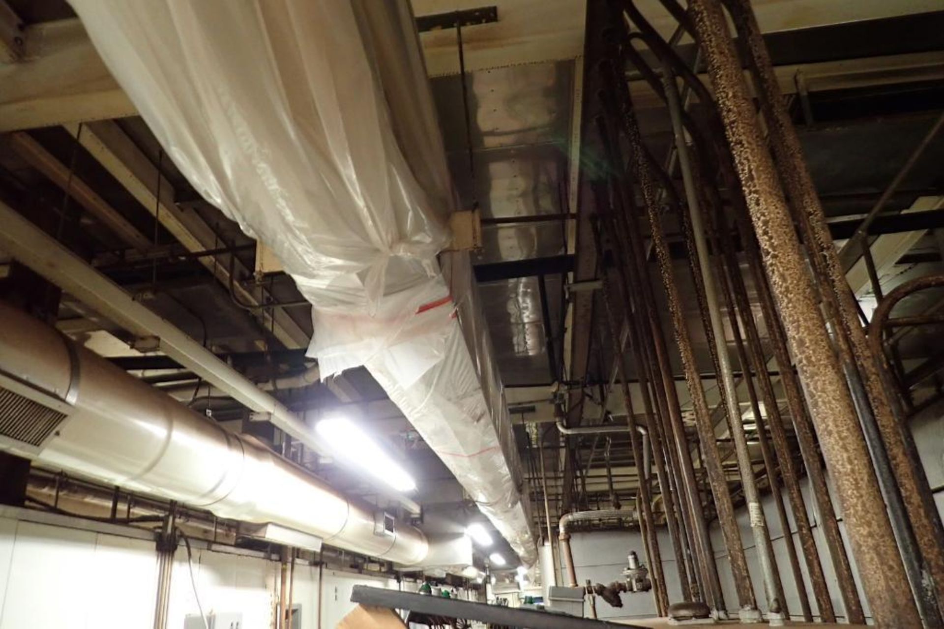 SS belt conveyor, 170 ft. long x 18 in. wide, suspended from ceiling. **Rigging Fee: $1500** - Image 2 of 7