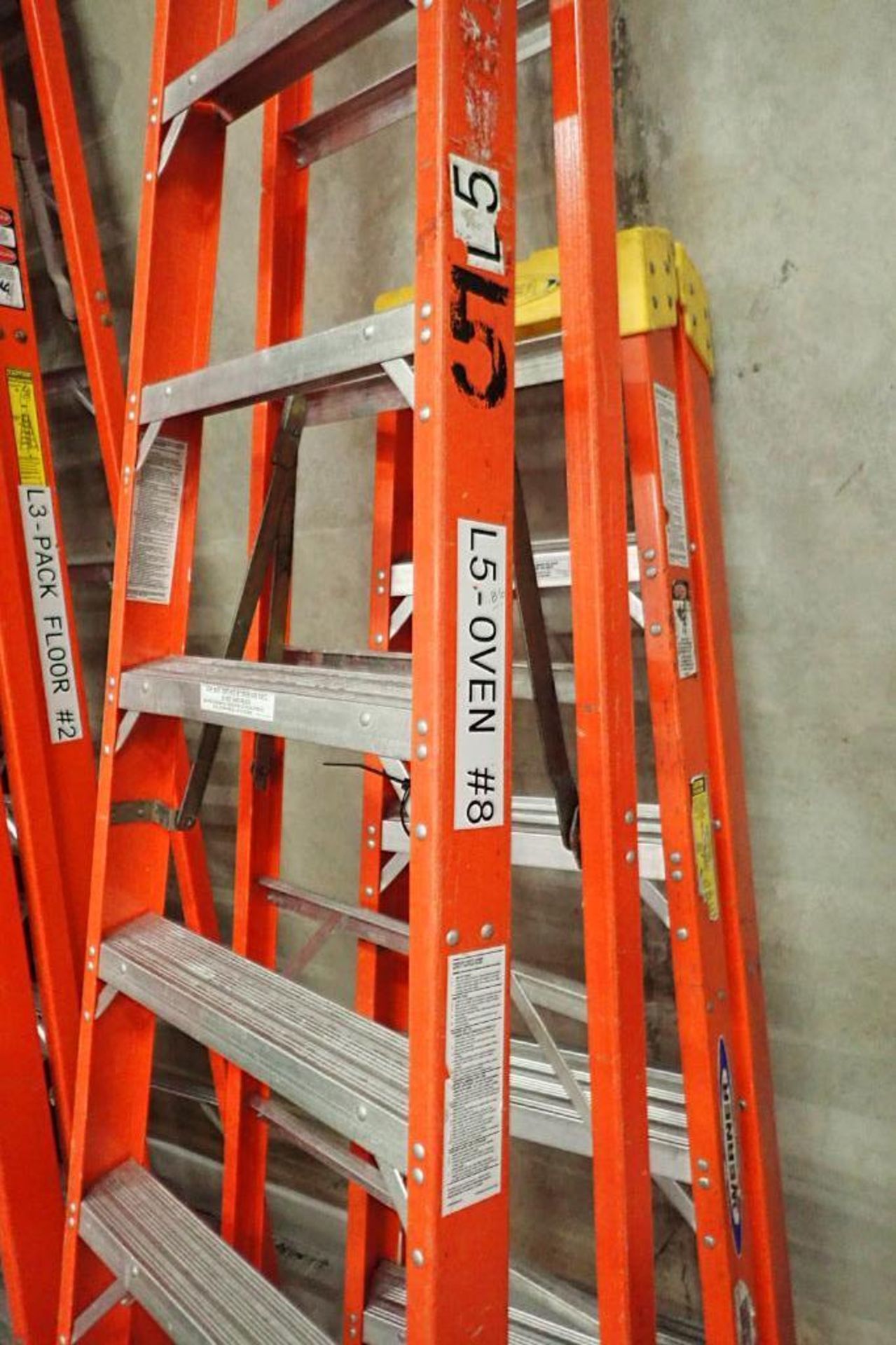 Werner 10 ft. step ladder. **Rigging Fee: $10** - Image 2 of 2