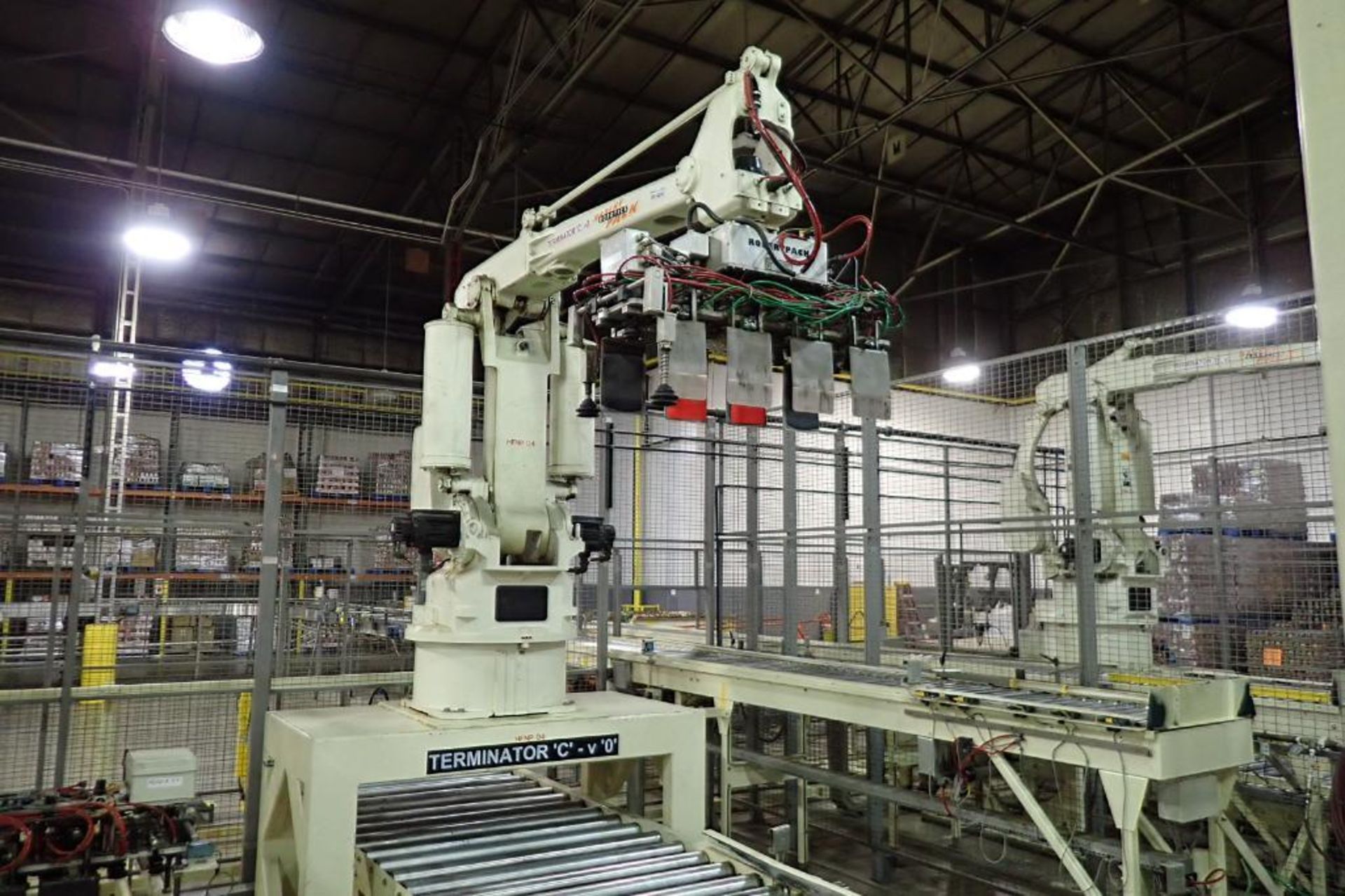 Robert Pack - Robot Palletizer - (Located in Newport, TN) - Image 13 of 19