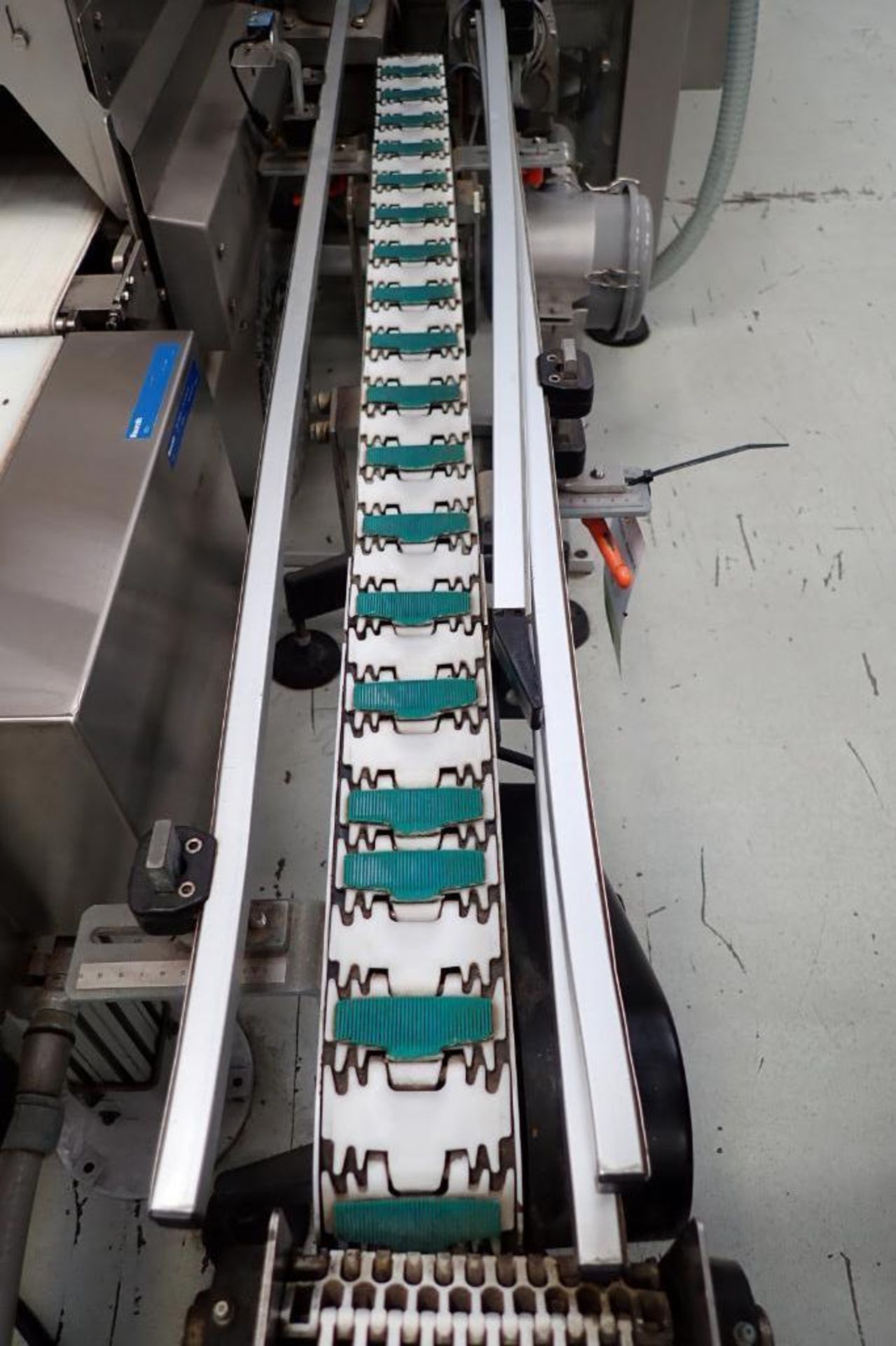 Rotzinger plastic chain conveyor. {Located in Visalia, CA} - Image 2 of 7