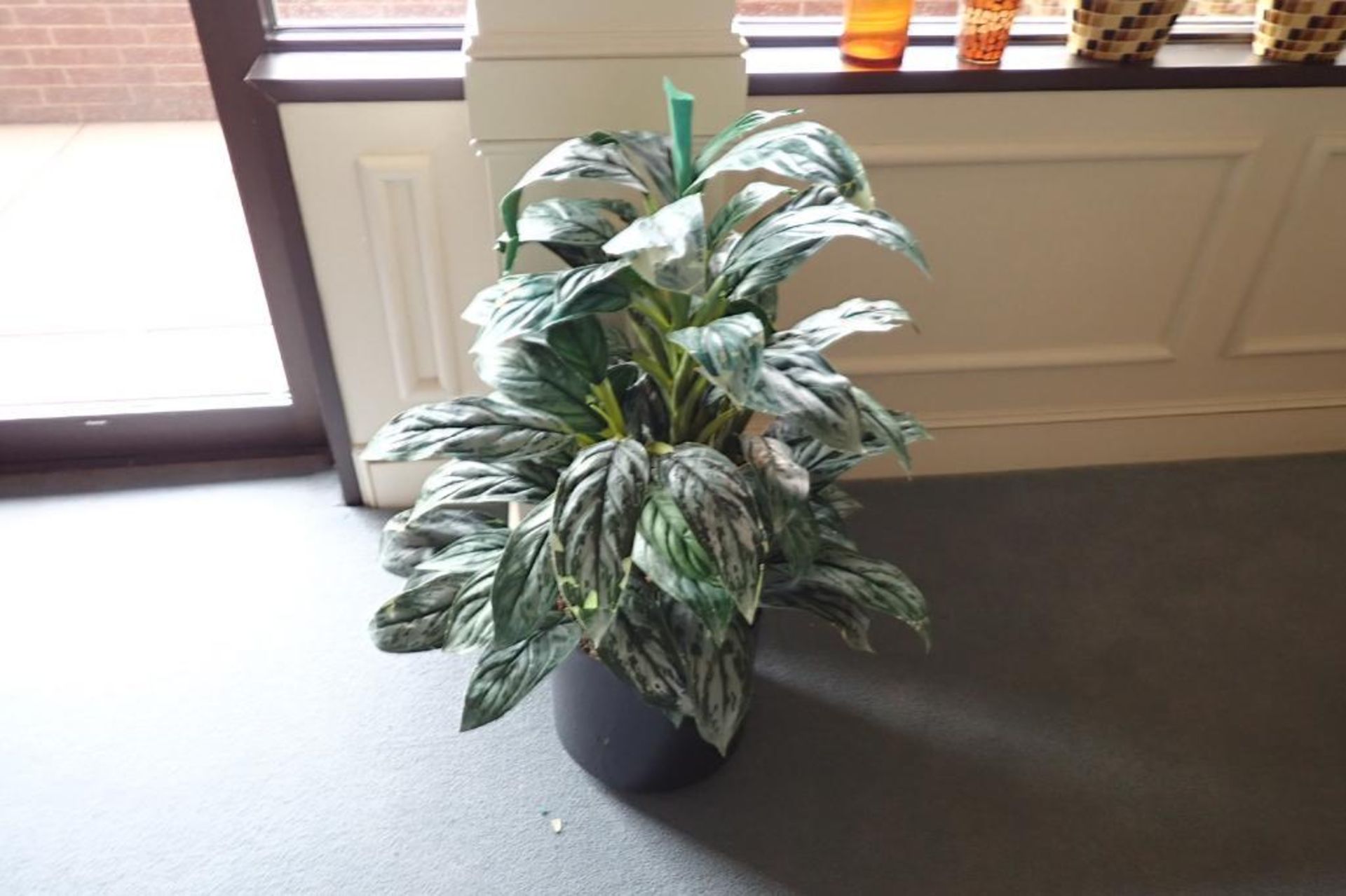 Decorative plants - Image 6 of 7