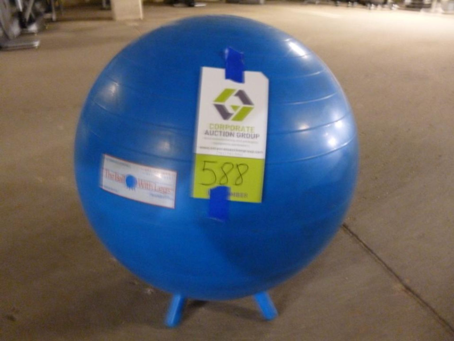 Manufacturer: - Blue Exercise Ball - Model Number: