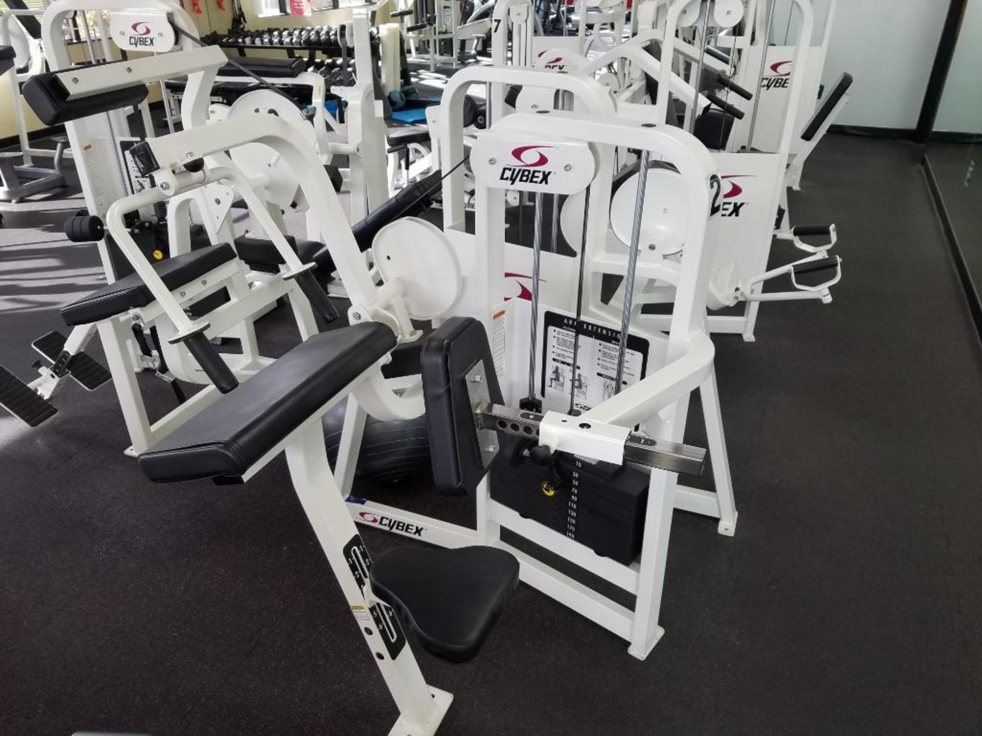 Manufacturer: Cybex - Arm Extension Machine - Model Number: