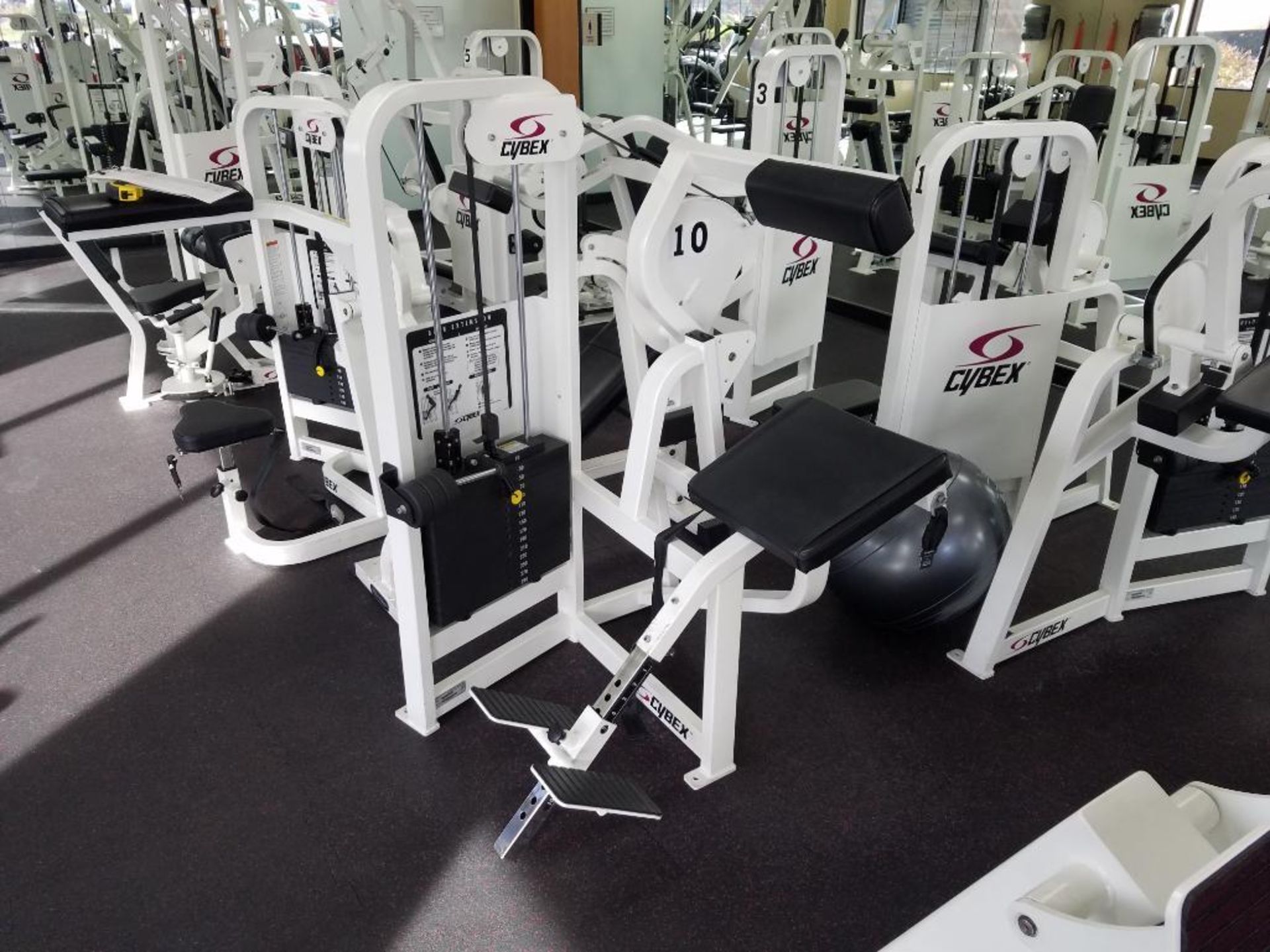 Manufacturer: Cybex - Back Extension Machine - Model Number: